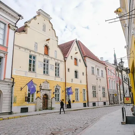 Cozy Historical Flat In The Heart Of Old Town 아파트 *