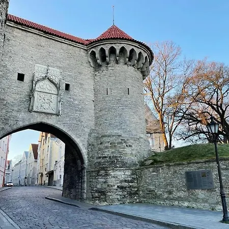 Cozy Historical Flat In The Heart Of Old Town 아파트 *