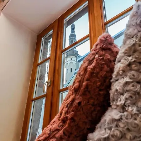 Cozy Historical Flat In The Heart Of Old Town