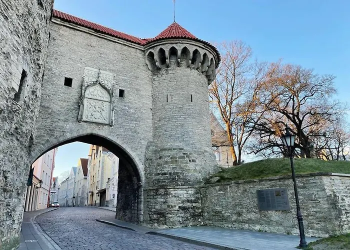 Cozy Historical Flat In The Heart Of Old Town 아파트 *