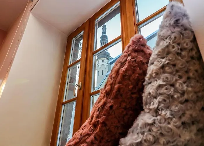 Cozy Historical Flat In The Heart Of Old Town